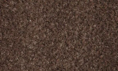 Torino Suede Belt In Brown