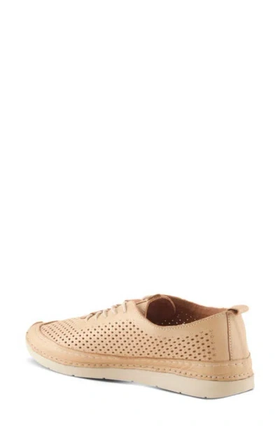 Spring Step Breen Sneaker In Neutral
