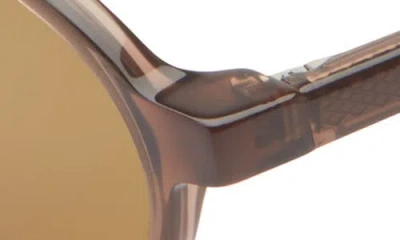 Eyebobs Board Stiff 43mm Round Polarized Sunglasses