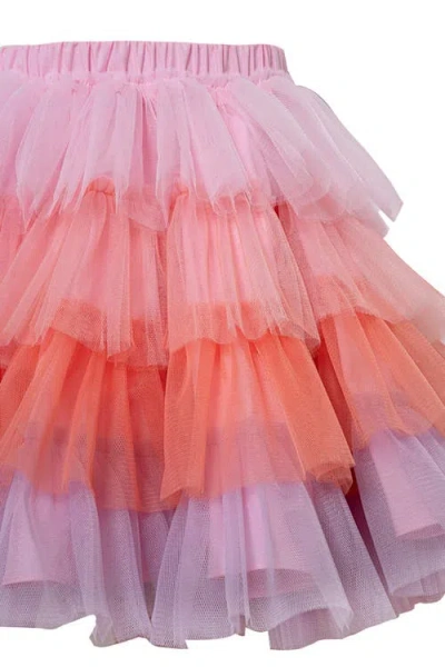 Mini Celebrities Ombre Tutu Skirt In Multi