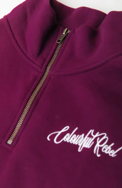 Colourful Rebel Uni Striped Cuff Zip Sweat In Burgundy