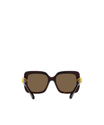 Swarovski Tortoiseshell-effect Rectangle-frame Sunglasses In Brown