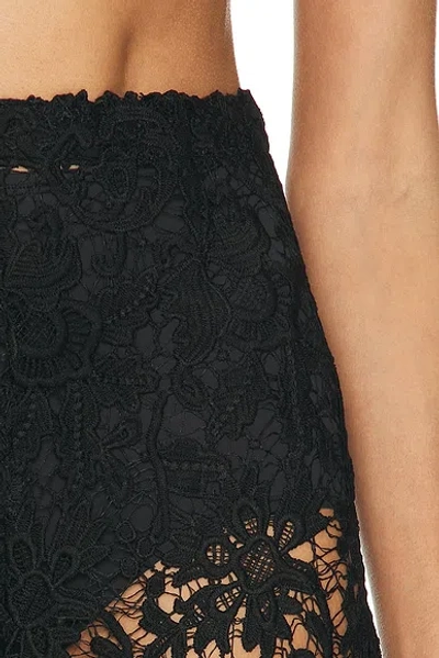 La Porte Gabrielle Lace Capri Pant In Black