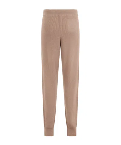 Peserico Elastic-waistband Track Pants In Brown