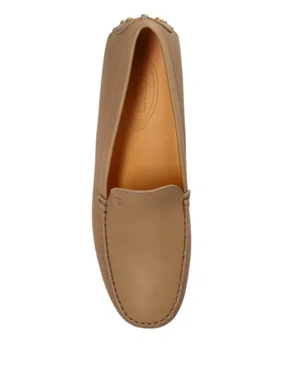 Tod's Studded Leather Loafers In Brown
