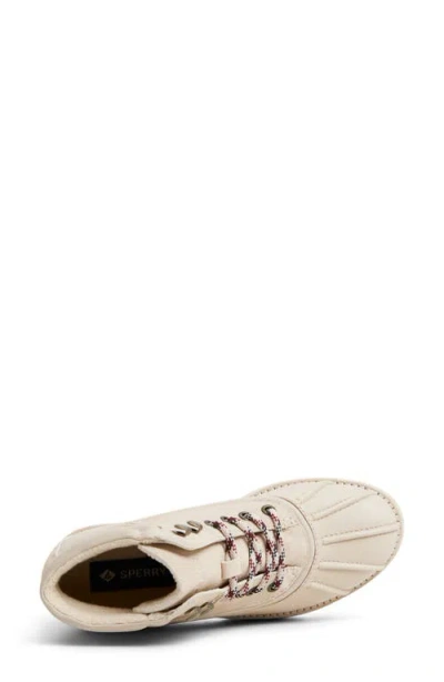 Sperry Rocky Hiker Boot In Multi