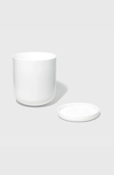 Public Goods Assorted Stoneware Planters In White