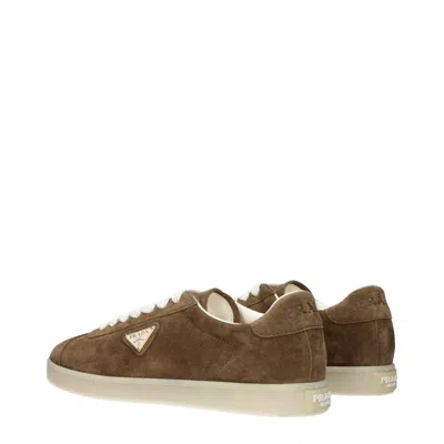 Prada Cotton Sigaro Sneakers In Brown