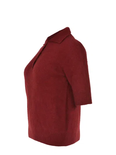 Vanisé Vanis? Polo In Red