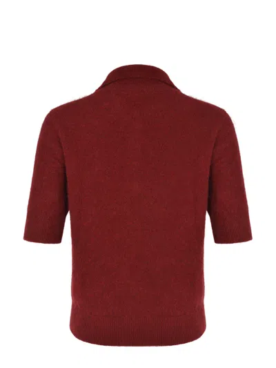 Vanisé Vanis? Polo In Red