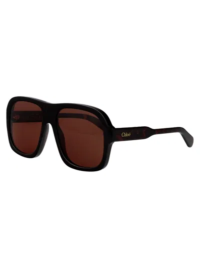 Chloé Oversized-frame Sunglasses In Brown