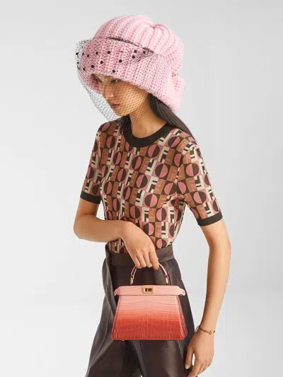 Fendi Women Embroidered Stretch Viscose Blend Sweater In Brown