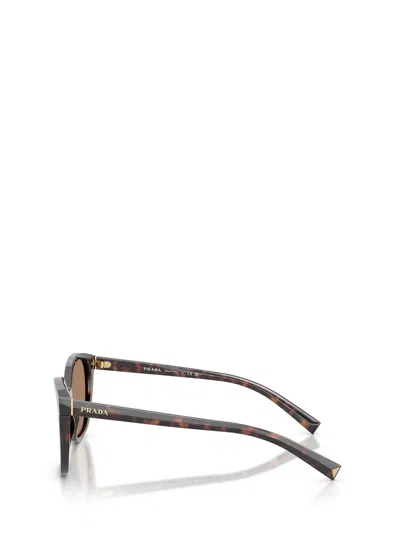 Prada Round-frame Sunglasses In Brown