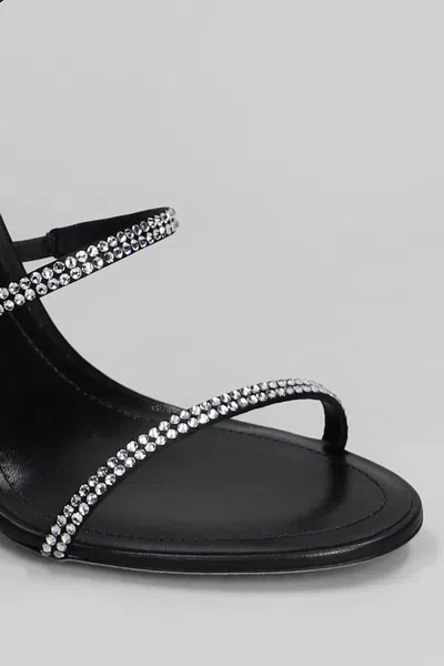 René Caovilla Cleo 105 Sandals In Black