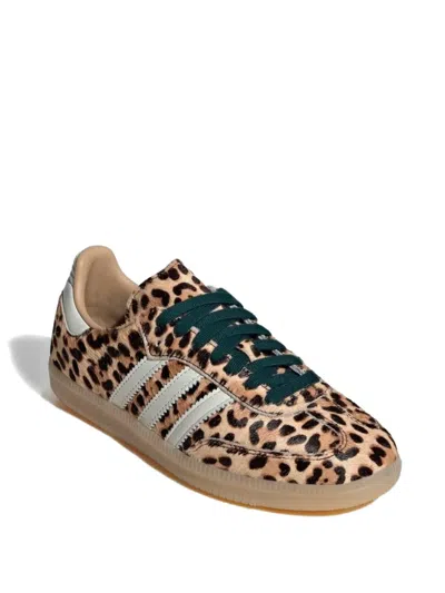Adidas Originals Golden Goose Golden Goose Ball Star White Nappa Sneakers With Black Star In Animal Print