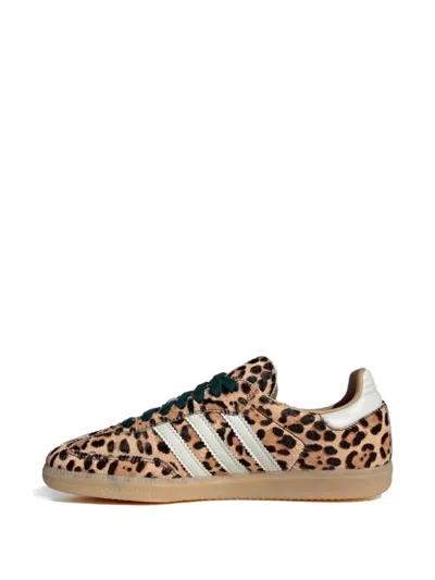 Adidas Originals Golden Goose Golden Goose Ball Star White Nappa Sneakers With Black Star In Animal Print