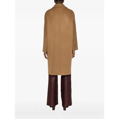 Max Mara Coat In Brown