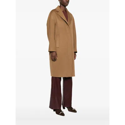 Max Mara Coat In Brown
