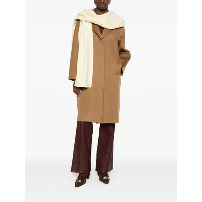 Max Mara Coat In Brown