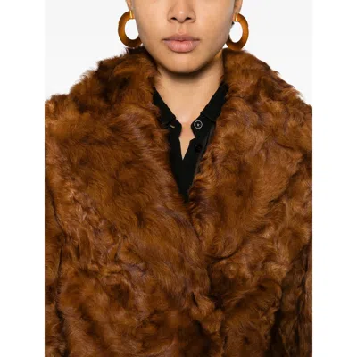Valentino Genuine Curly Shearling Coat In Brown