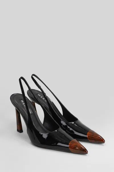 Werner Pointed-toe Heel Pumps In Black