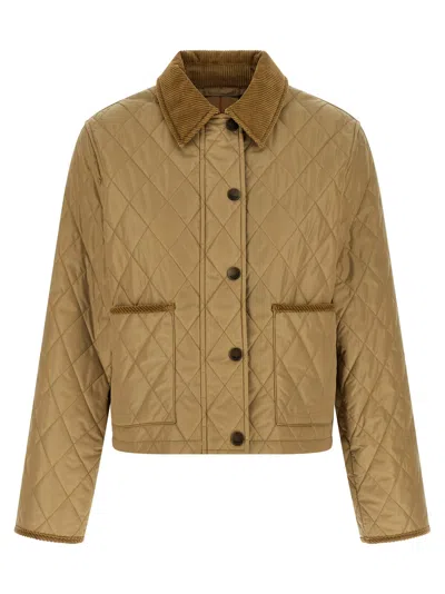 Burberry Cropped Quilted Nylon Jacket In Brown