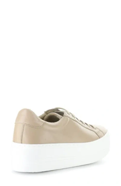Bos. & Co. Maya Lace-up Platform Sneaker In Neutral
