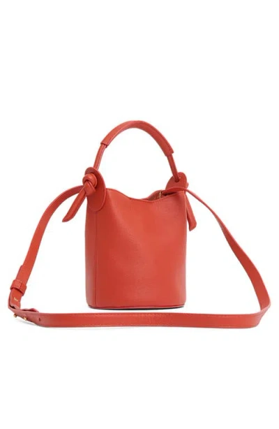 Mansur Gavriel Mini Mini Fortuna Bucket Bag In Pattern