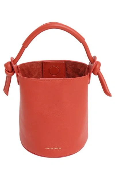 Mansur Gavriel Mini Mini Fortuna Bucket Bag In Pattern