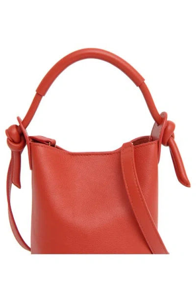 Mansur Gavriel Mini Mini Fortuna Bucket Bag In Pattern