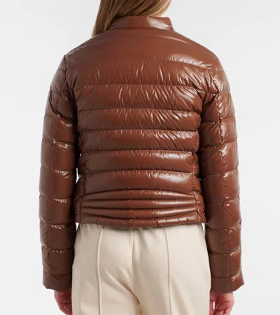 Moncler Papillon Padded Glossed Shell Jacket In Brown