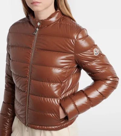 Moncler Papillon Padded Glossed Shell Jacket In Brown