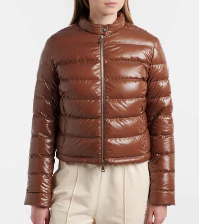 Moncler Papillon Padded Glossed Shell Jacket In Brown