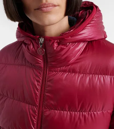 Moncler Glesse Short Padded Jacket With Hood In Red In Red