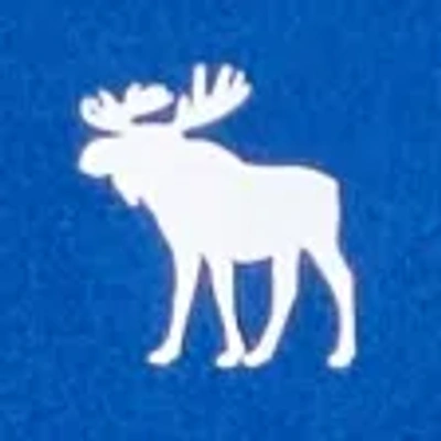 Abercrombie & Fitch Icon Rashguard In Blue