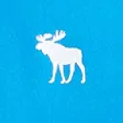 Abercrombie & Fitch Long-sleeve Icon Rashguard In Blue