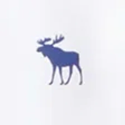 Abercrombie & Fitch Icon Rashguard In White