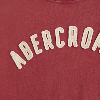 Abercrombie & Fitch Premium Heavyweight 2.0 Logo Tee In Red