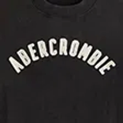 Abercrombie & Fitch Premium Heavyweight 2.0 Logo Tee In Black
