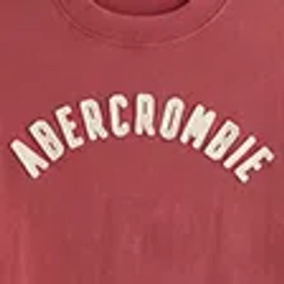 Abercrombie & Fitch Premium Heavyweight 2.0 Logo Tee In Red
