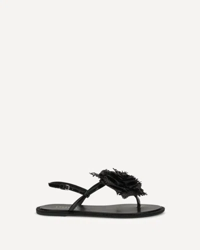 Le Silla Rose Embellishment Sandals In Black