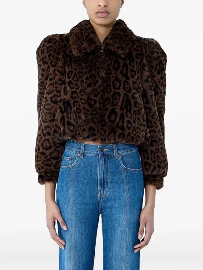 Chloé Leopard Print Faux Fur Cropped Jacket In Brown