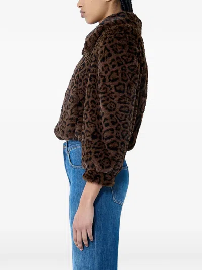 Chloé Leopard Print Faux Fur Cropped Jacket In Brown