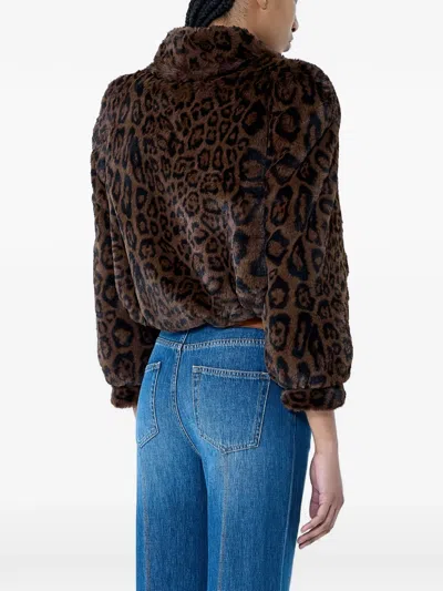 Chloé Leopard Print Faux Fur Cropped Jacket In Brown