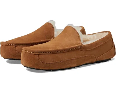 Ugg M Ascot Suede Moccasins In Brown