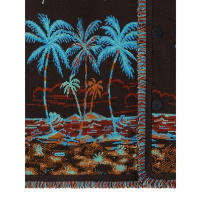 Alanui Sweater In Brown