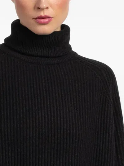 Dušan Roll-neck Ribbed Sweater In Multi