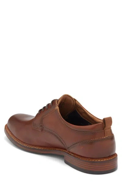 Steve Madden Evan Derby In Brown