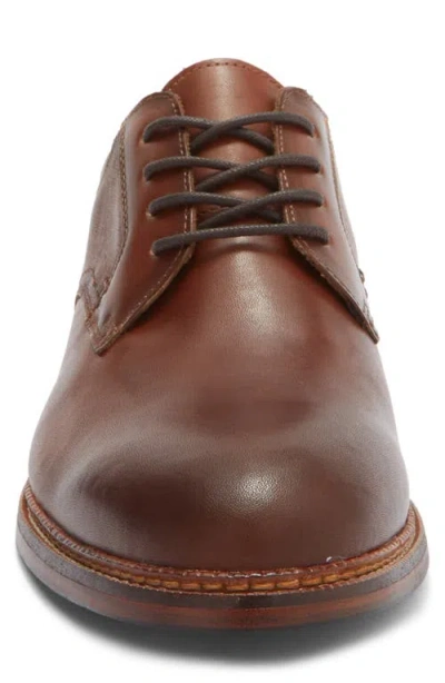Steve Madden Evan Derby In Brown
