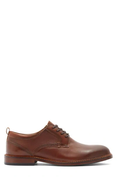 Steve Madden Evan Derby In Brown